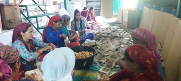 महिला समूहों ने केदारनाथ यात्रा के दौरान करीब 01 करोड़ रुपए का किया कारोबार, 500 से अधिक महिलाओं को मिला सीधा रोजगार, मातृशक्ति की आजीविका में लगातार हो रहा सुधार