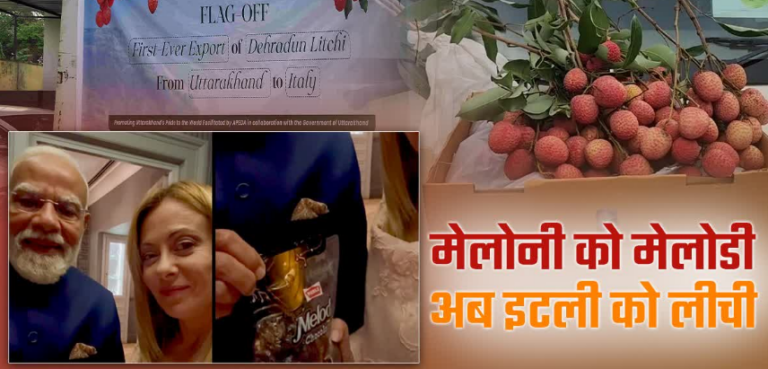 पहली बार इटली एक्सपोर्ट हुई उत्तराखंड की लीची, मेलोडी के बाद देहरादून का फल घोलेगा मिठास